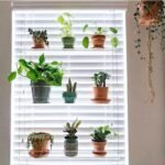 étagères En Acrylique Transparent Pour Plantes De Fenêtres élégantes