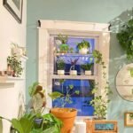 étagères En Acrylique Transparent Pour Plantes De Fenêtres élégantes