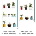 étagères En Acrylique Transparent Pour Plantes De Fenêtres élégantes