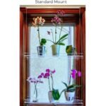 étagères En Acrylique Transparent Pour Plantes De Fenêtres élégantes