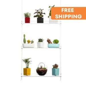 étagères En Acrylique Transparent Pour Plantes De Fenêtres élégantes