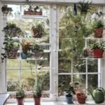 étagères En Acrylique Transparent Pour Plantes De Fenêtres élégantes
