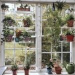 étagères En Acrylique Transparent Pour Plantes De Fenêtres élégantes
