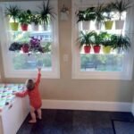 étagères En Acrylique Transparent Pour Plantes De Fenêtres élégantes