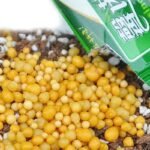 Fertilisant Granulés à Libération Lente Pour Toutes Vos Plantes D&rsquo;intérieur