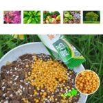 Fertilisant Granulés à Libération Lente Pour Toutes Vos Plantes D&rsquo;intérieur