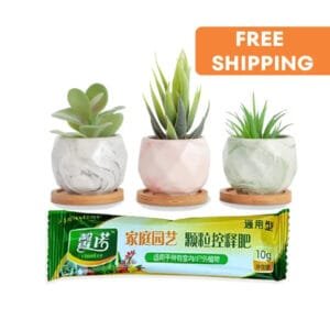 Fertilisant Granulés à Libération Lente Pour Toutes Vos Plantes D’intérieur