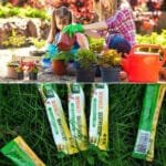 Fertilisant Granulés à Libération Lente Pour Toutes Vos Plantes D’intérieur