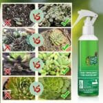 Fertilisant Pour Bourgeons 300ml Pour Une Croissance Saine