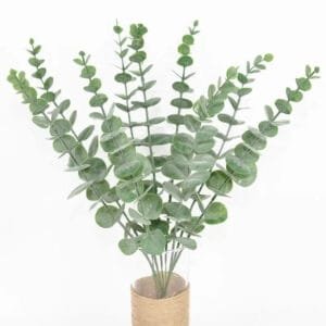 Feuilles D’eucalyptus Artificielles Pour Une Décoration élégante