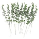 Feuilles D’eucalyptus Artificielles Pour Une Décoration élégante