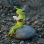 Figurines Miniatures Pour Un Enchanteur Jardin De Fées Avec Grenouilles