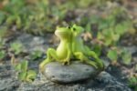 Figurines Miniatures Pour Un Enchanteur Jardin De Fées Avec Grenouilles