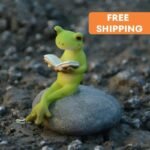 Figurines Miniatures Pour Un Enchanteur Jardin De Fées Avec Grenouilles