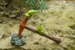 Figurines Miniatures Pour Un Enchanteur Jardin De Fées Avec Grenouilles
