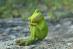 Figurines Miniatures Pour Un Enchanteur Jardin De Fées Avec Grenouilles