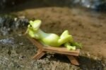 Figurines Miniatures Pour Un Enchanteur Jardin De Fées Avec Grenouilles