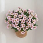 fleurs artificielles dautomne pour embellir votre espace 763 1