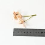 fleurs en soie artificielle 20pcs orchidee magnolia degrade 250 1