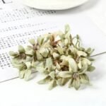 fleurs en soie artificielle 20pcs orchidee magnolia degrade green 10pcs 536 1