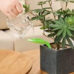 Entonnoir D&rsquo;arrosage élégant Et Pratique Pour Un Jardinage Impeccable