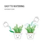 Entonnoir D&rsquo;arrosage élégant Et Pratique Pour Un Jardinage Impeccable