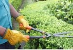 Gants En Cuir De Vache Pour Garder Vos Mains En Sécurité Et Stylées