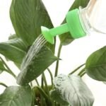 Pointe d&rsquo;arrosage de jardin pour un entretien facile des semis et des plantes.