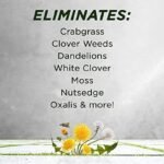 Désherbant au vinaigre Green Gobbler – Certifié Pour Un Usage Biologique