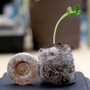 Granulés de tourbe de sol à haute aération pour une croissance saine des racines
