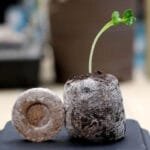 Granulés De Tourbe De Sol à Haute Aération Pour Une Croissance Saine Des Racines