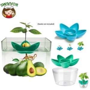 hydroponic avocado growing bowl for easy pit success 584 1