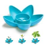 hydroponic avocado growing bowl for easy pit success blue 779 1