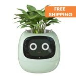 ivy pot avec intelligence artificielle et animations emotionnelles green succulent 719 1