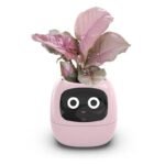 ivy pot avec intelligence artificielle et animations emotionnelles pink succulent 289 1