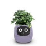 ivy pot avec intelligence artificielle et animations emotionnelles purple succulent 310 1