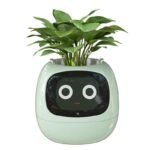 ivy pot avec intelligence artificielle et animations emotionnelles succulent planters 477 1