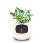 ivy pot avec intelligence artificielle et animations emotionnelles white succulent 900 1