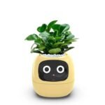 ivy pot avec intelligence artificielle et animations emotionnelles yellow succulent 133 1