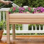 Jardin Potager Surélevé En Cèdre: Protection Et Avantages! états-unis