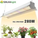 Lampe De Culture Led à Spectre Complet Pour Plantes D&rsquo;intérieur