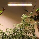 Lampe De Culture Led à Spectre Complet Pour Plantes D&rsquo;intérieur