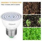 Lampe De Culture Led à Spectre Complet Pour Toutes Les étapes De Croissance