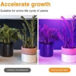 Lampe De Culture Led à Spectre Complet Pour Toutes Les étapes De Croissance