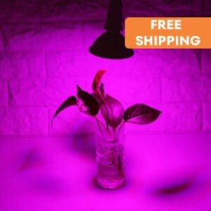 Lampe De Culture Led à Spectre Complet Pour Toutes Les étapes De Croissance