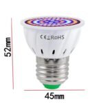 Lampe De Culture Led à Spectre Complet Pour Toutes Les étapes De Croissance