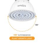 Lampe De Culture Led à Spectre Complet Pour Toutes Les étapes De Croissance