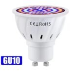 Lampe De Culture Led à Spectre Complet Pour Toutes Les étapes De Croissance