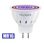 Lampe De Culture Led à Spectre Complet Pour Toutes Les étapes De Croissance