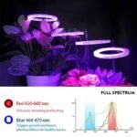 Lampe De Culture Led Angel Ring Pour Plantes D&rsquo;intérieur